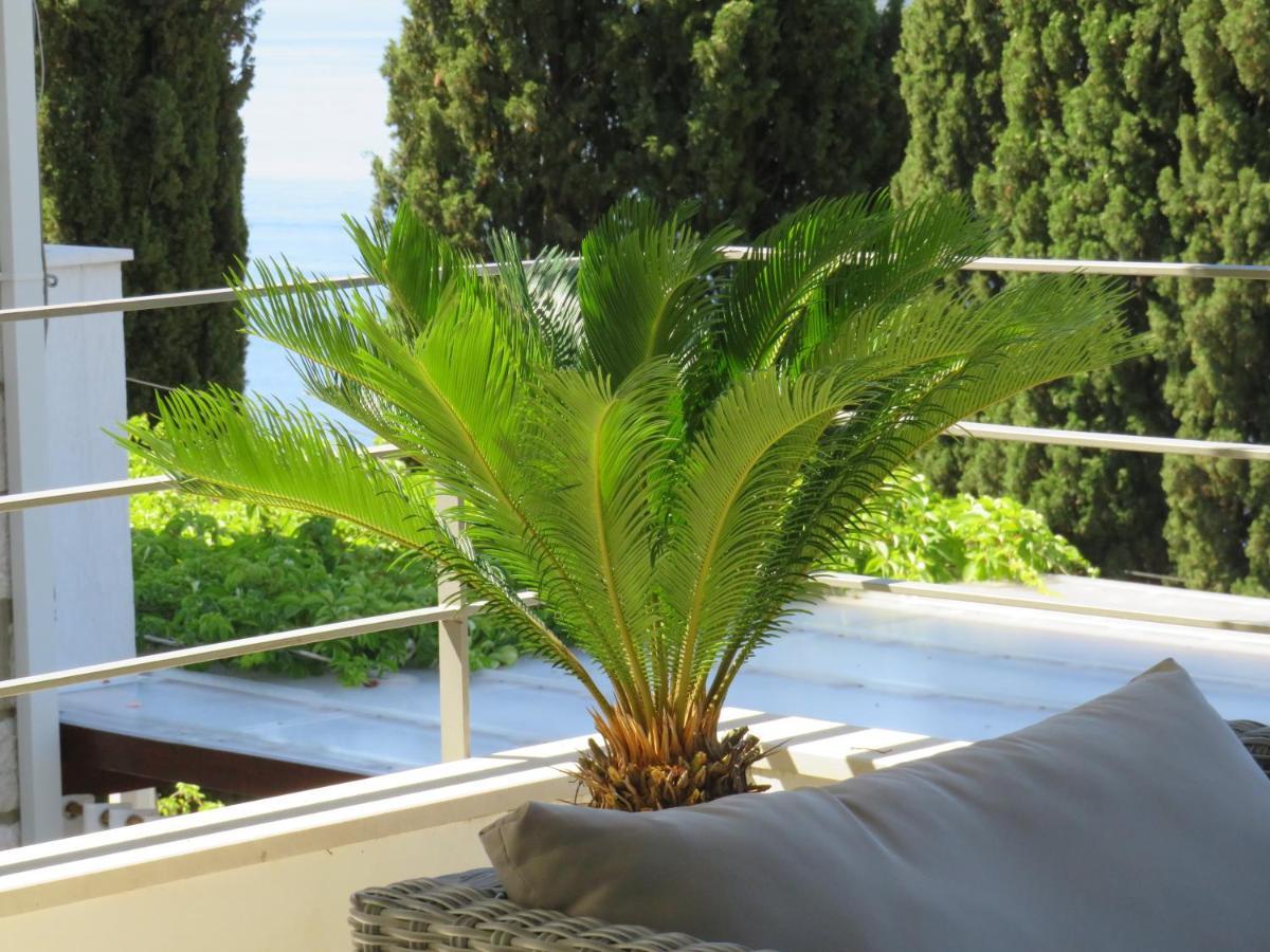 Villa King Dubrovnik Exteriör bild